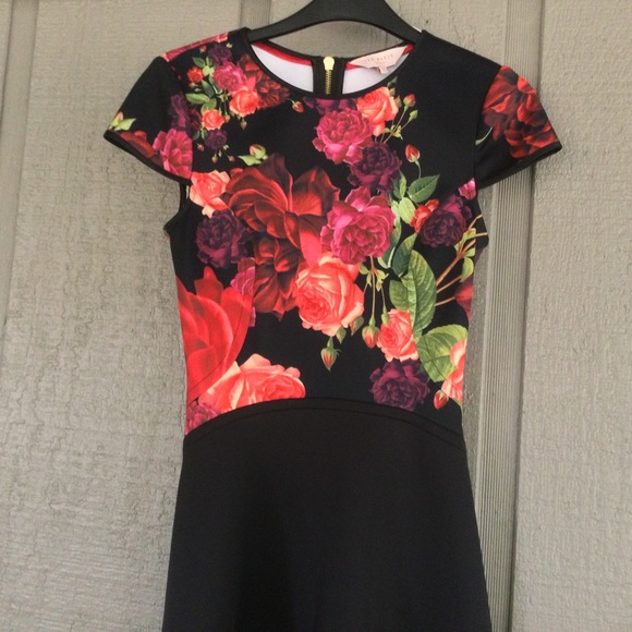 Ted Baker London Xylee Skater Mini Dress Size 0 00 In Floral Print Preppy Women - Picture 3 of 13